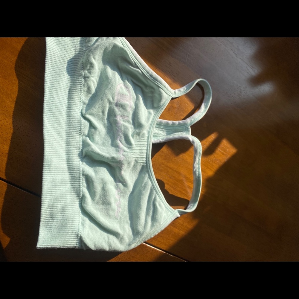 Champion Sports Bra